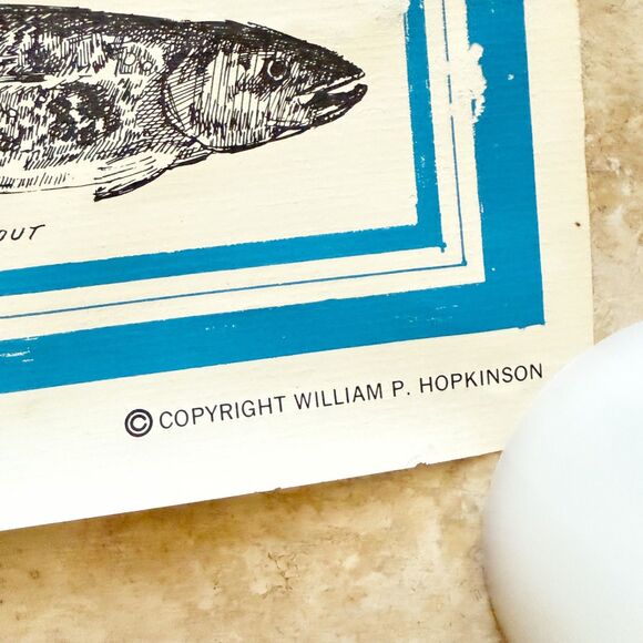 Vtg 1971 Winnisquam Lake Poster New Hampshire 21x 28 in NH Original - Picture 4 of 11